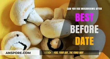 Can You Safely Eat Mushrooms Past Their Best Before Date?