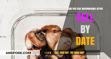 Are Mushrooms Still Safe to Eat After the Sell-By Date?