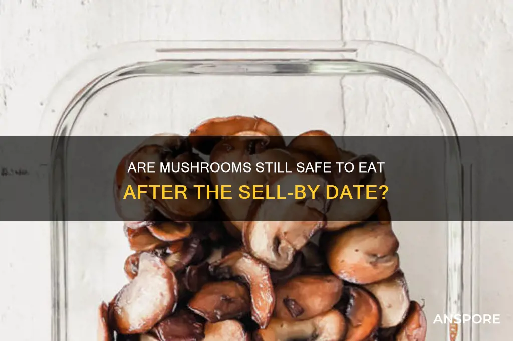 can you use mushrooms after sell by date