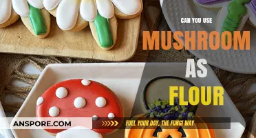 Mushroom Flour: A Nutritious, Gluten-Free Alternative for Baking Enthusiasts