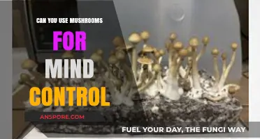 Mushrooms and Mind Control: Exploring the Psychedelic Potential