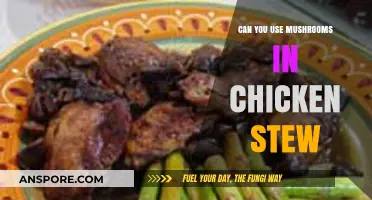 Mushrooms in Chicken Stew: A Flavorful Twist to Your Comfort Dish