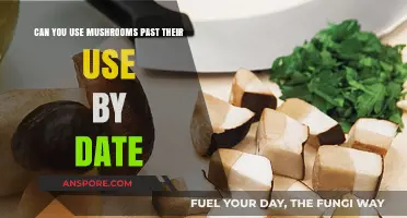 Mushrooms Past Their Use-By Date: Safe to Eat or Toss?