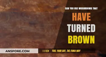 Are Brown Mushrooms Safe to Eat? A Complete Guide