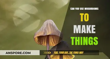 Mushroom Magic: Crafting Sustainable Materials from Fungi