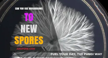 Growing New Spores: Using Mushrooms for Successful Cultivation Techniques