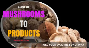 Unlocking Mushroom Potential: Innovative Uses in Everyday Products