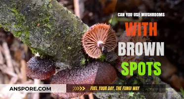 Are Brown-Spotted Mushrooms Safe to Eat? A Fungal Guide