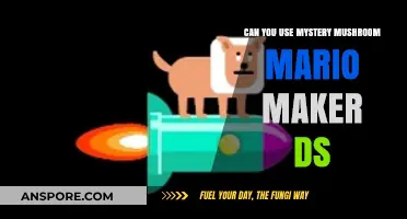 Mystery Mushroom in Mario Maker DS: Creative Possibilities Explored