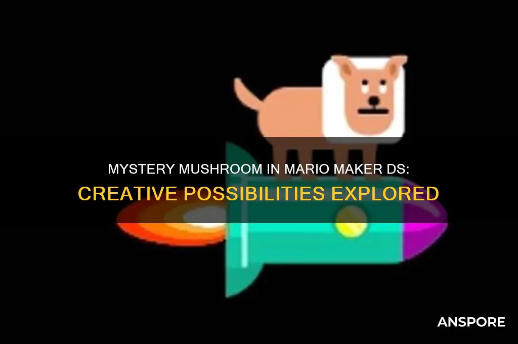 can you use mystery mushroom mario maker ds