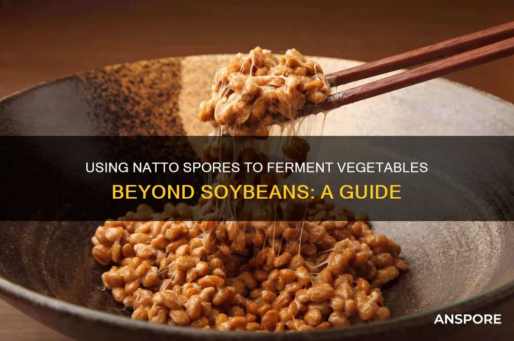 can you use natto spores for other vegetables