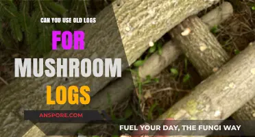 Reviving Old Logs: A Guide to Growing Mushrooms on Aged Wood