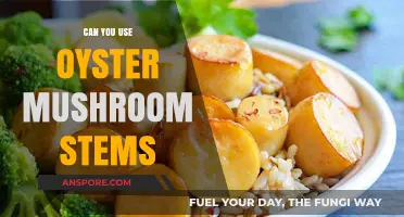 Using Oyster Mushroom Stems: Creative Culinary Tips and Benefits