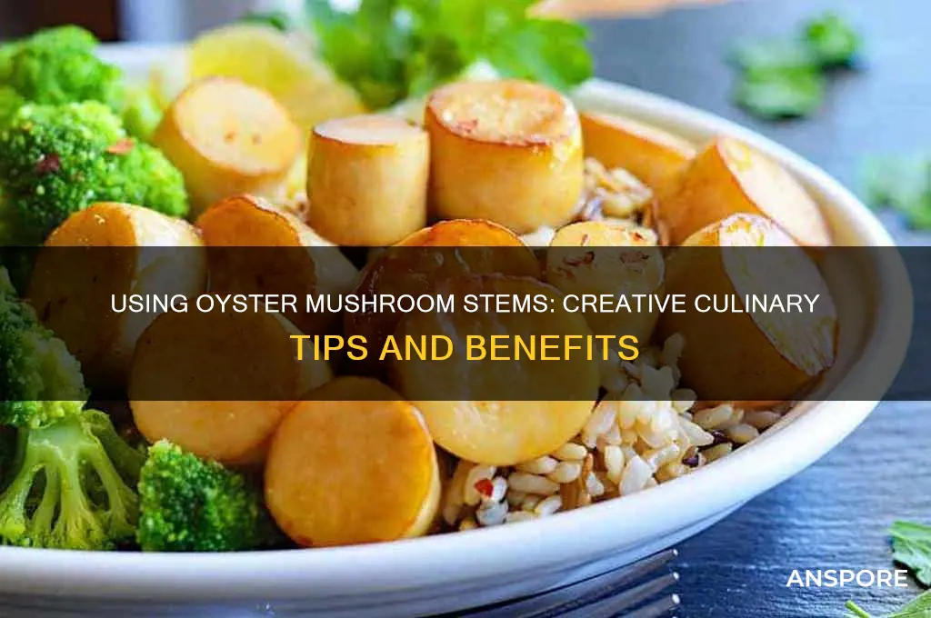 can you use oyster mushroom stems