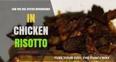 Oyster Mushrooms in Chicken Risotto: A Flavorful Culinary Adventure