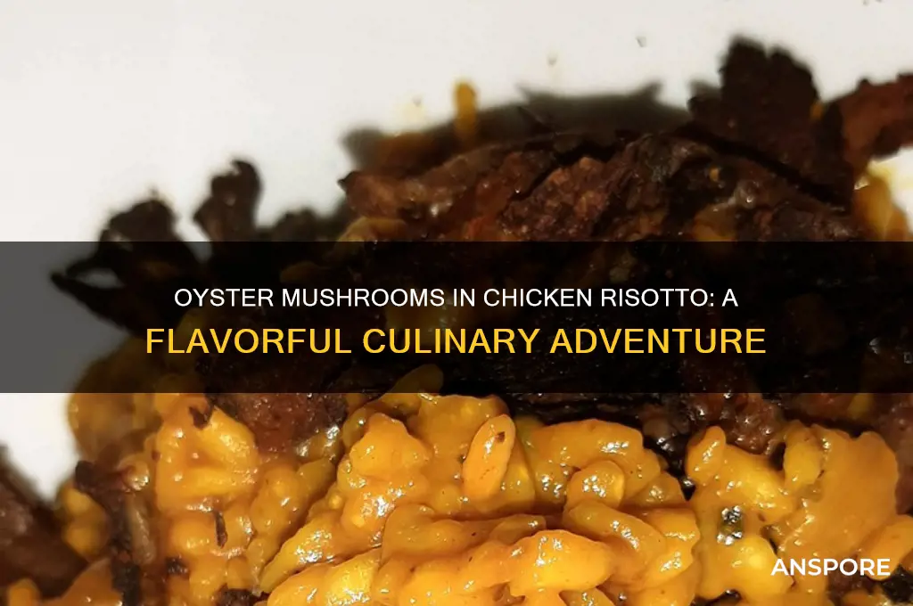 can you use oyster mushrooms in chicken risotto