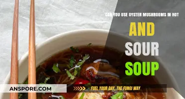 Oyster Mushrooms in Hot and Sour Soup: A Flavorful Twist?