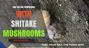 Paraffin Wax and Shiitake Mushrooms: A Safe Pairing?