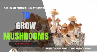 Perlite vs. Vermiculite: Which is Best for Growing Mushrooms?