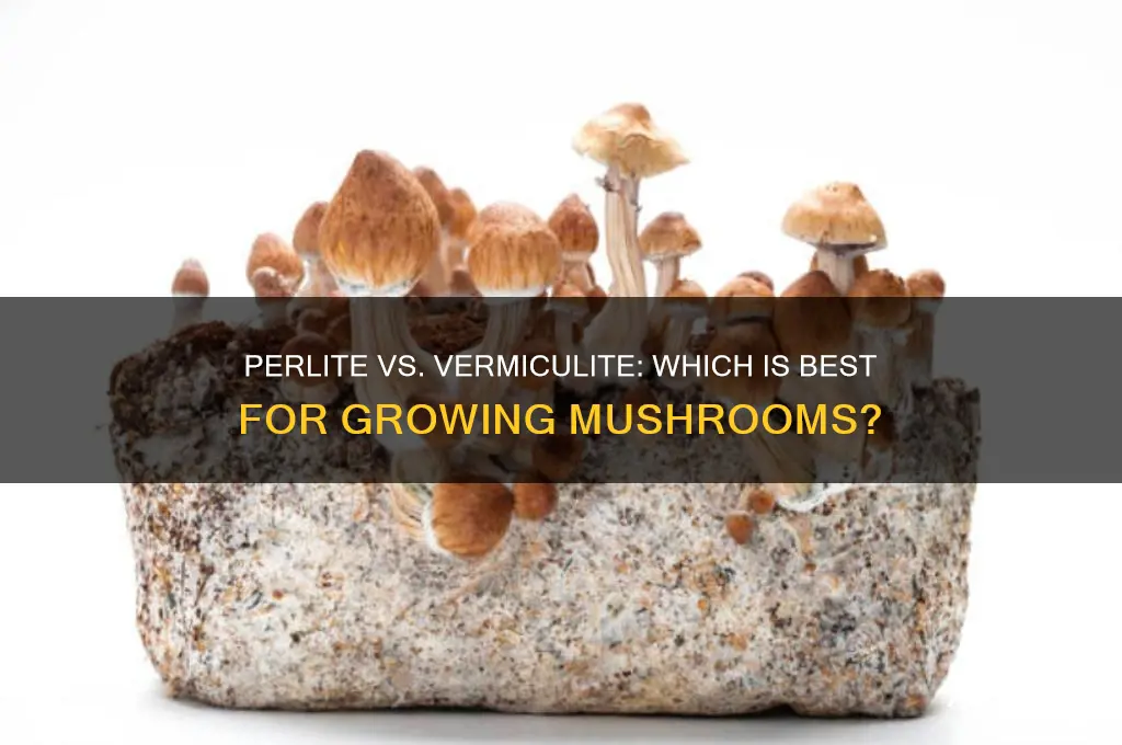 can you use perlite instead of vermiculite to grow mushrooms