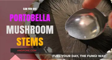 Portobello Mushroom Stems: Creative Uses and Culinary Tips