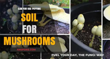 Using Potting Soil for Mushroom Cultivation: Benefits and Best Practices