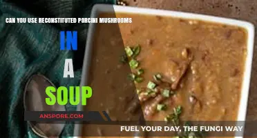 Reconstituted Porcini Mushrooms: Perfect Addition to Your Soup Recipes?