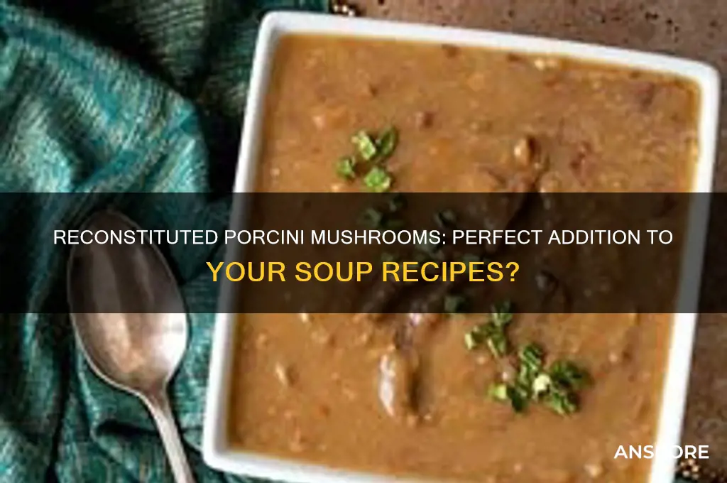 can you use reconstituted porcini mushrooms in a soup