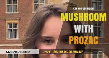 Reishi Mushrooms and Prozac: Safe Combination or Risky Interaction?