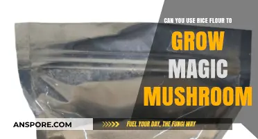 Rice Flour's Role in Cultivating Magic Mushrooms: Fact or Fiction?