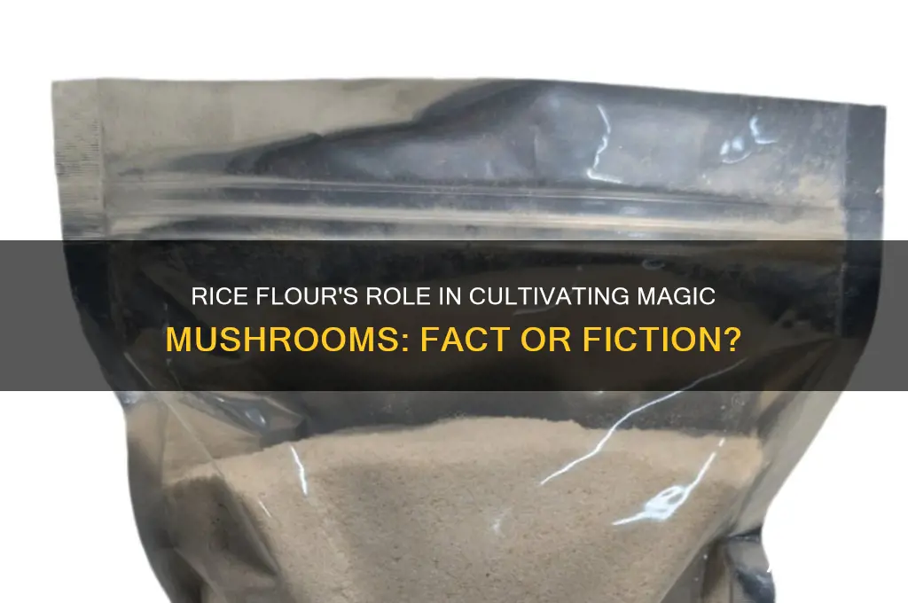can you use rice flour to grow magic mushrooms