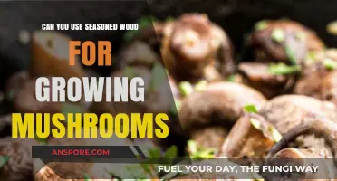 Seasoned Wood for Mushroom Cultivation: Benefits, Risks, and Best Practices