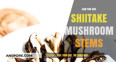 Shiitake Stems: Edible Uses and Creative Culinary Tips Revealed