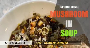 Shiitake Mushrooms in Soup: A Flavorful, Nutritious Addition