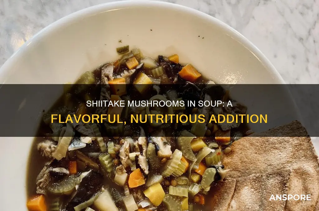 can you use shiitake mushrooms in soup