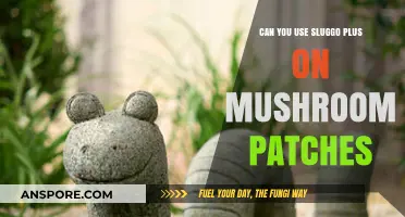 Sluggo Plus for Mushroom Patches: Safe and Effective Solution?