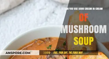 Sour Cream Twist: Elevating Cream of Mushroom Soup with Tangy Goodness