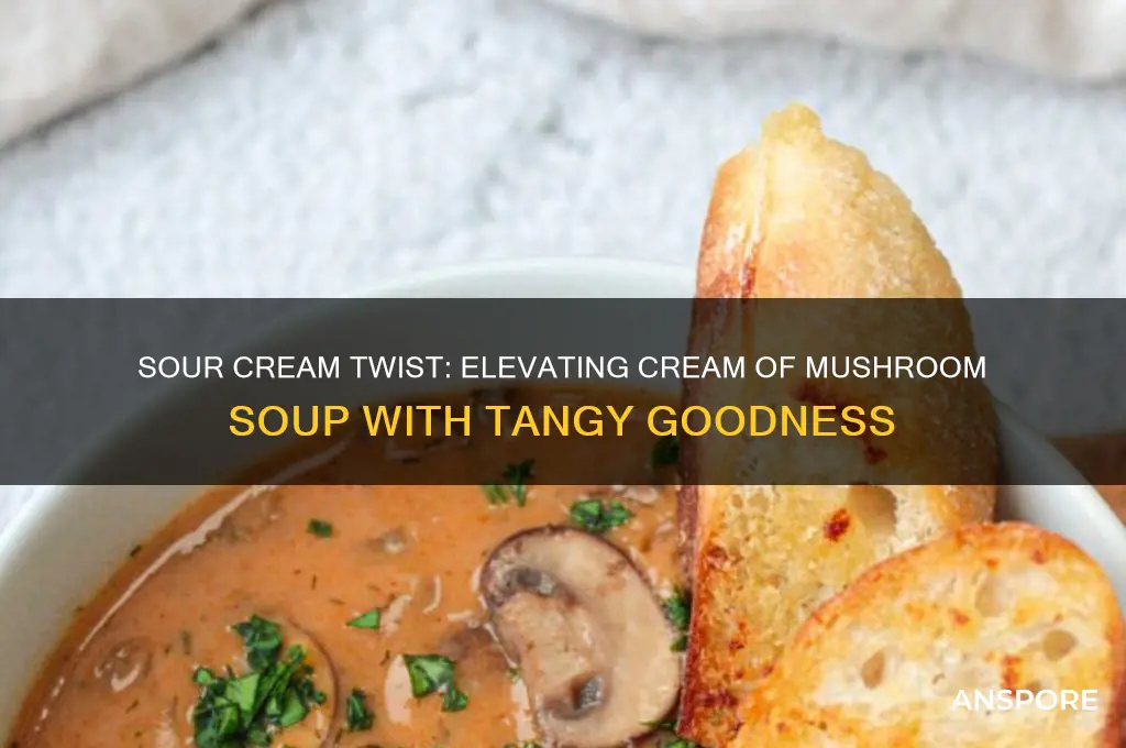can you use sour cream in cream of mushroom soup