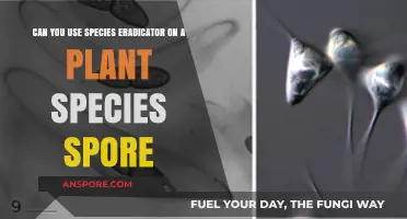 Using Species Eradicator on Plant Spores: Risks and Considerations