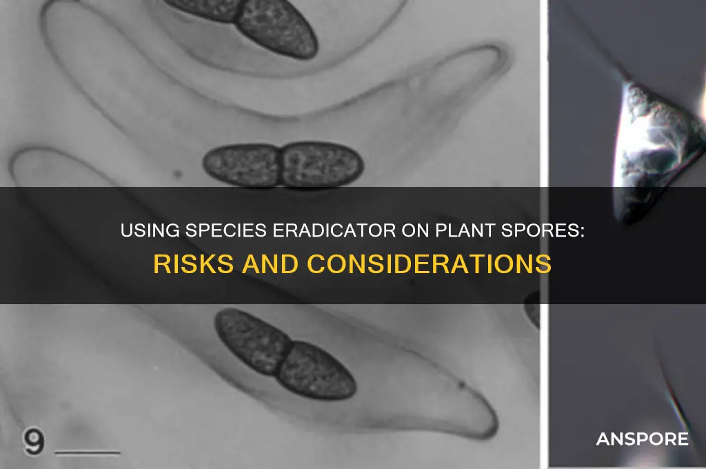 can you use species eradicator on a plant species spore