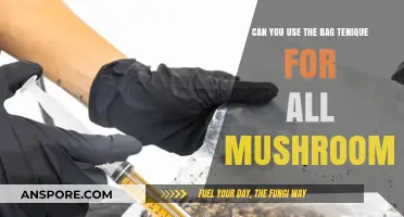 Can the Bag Technique Be Applied to All Mushroom Varieties?