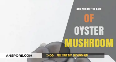 Creative Ways to Use Oyster Mushroom Bases in Cooking