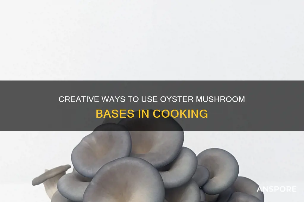 can you use the base of oyster mushrooms