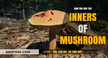 Unlocking Mushroom Secrets: Creative Uses for Mushroom Inners Explored