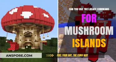 Finding Mushroom Islands: Using the Locate Command in Minecraft