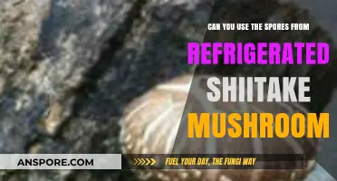 Using Refrigerated Shiitake Mushroom Spores: A Guide for Home Growers