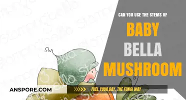 Using Baby Bella Mushroom Stems: Creative Culinary Tips and Tricks