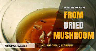 Reviving Dried Mushrooms: Can You Use Their Soaking Water?