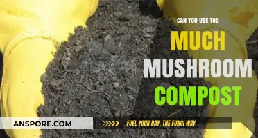 Overusing Mushroom Compost: Benefits, Risks, and Proper Application Tips
