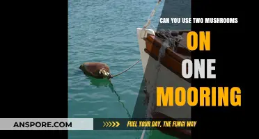 Using Two Mushrooms on One Mooring: Is It Possible or Practical?
